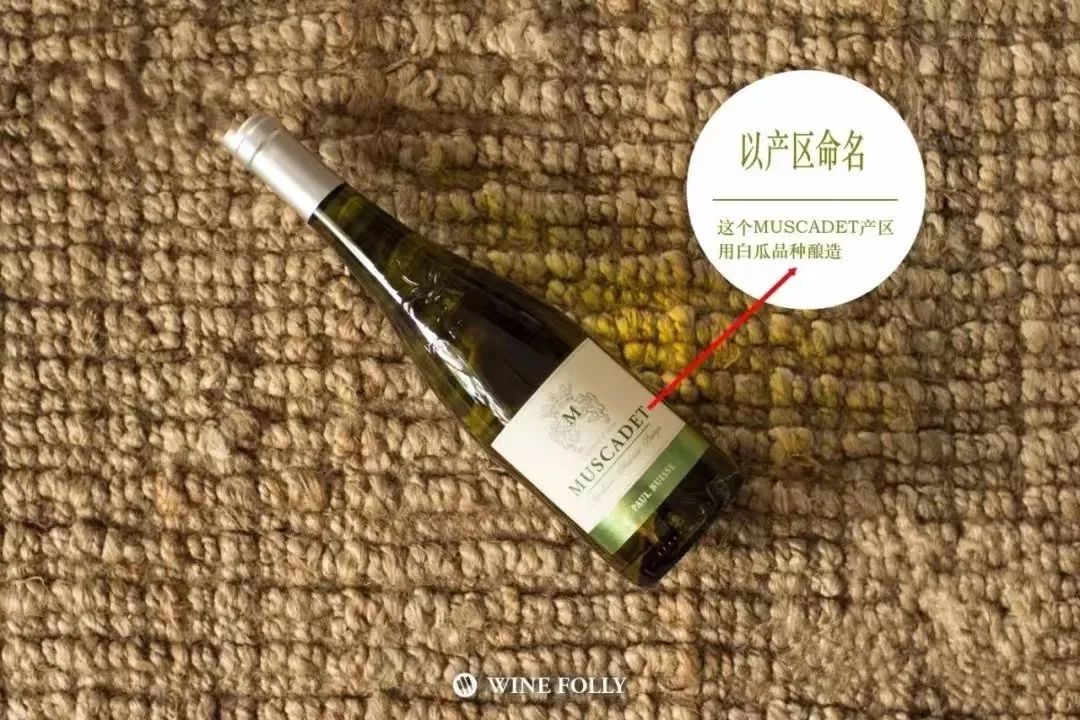 看懂酒标签的三个关键点